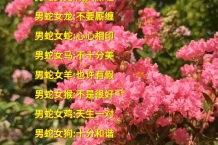 从性格角度分析，女虎和男蛇的婚姻组合有哪些优缺点？