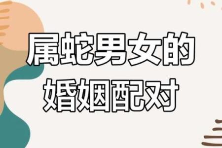 属蛇人命中注定的婚姻对象是哪些生肖，如何避免感情中的矛盾与冲突？