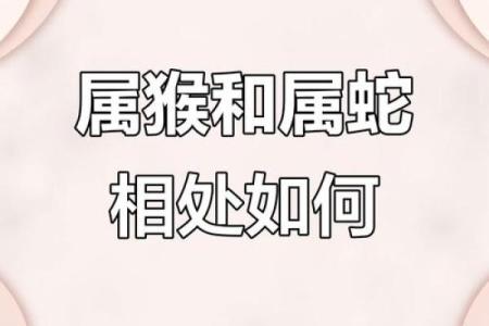 80年属猴女性46岁婚姻危机如何化解，丈夫变心有哪些征兆需警惕