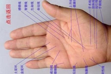 女生手相右手,女人右手掌纹图解算命