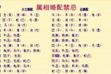 1992年出生的猴生肖寻找最佳婚配属相指南