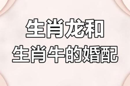 1985年属牛的最佳婚配生肖是哪些，婚姻幸福吗