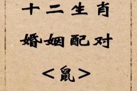 72年属鼠男性53岁后婚姻运势如何，需要注意哪些问题？