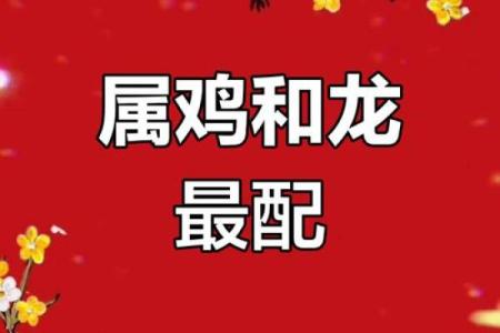 200年龙女最佳配偶属相 2ooo年属龙女找什么对象
