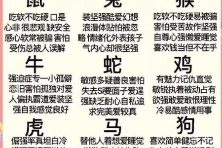 大象最忌讳四个属相 大象与什么属相相克