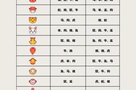 从生肖配对角度分析，属兔和属马的夫妻组合是否长久和谐