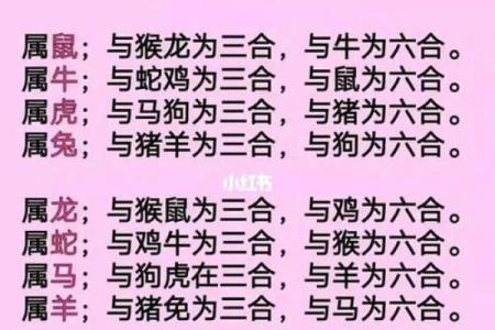 生肖蛇女比马男大一岁结婚好吗？属相婚配宜忌与感情建议