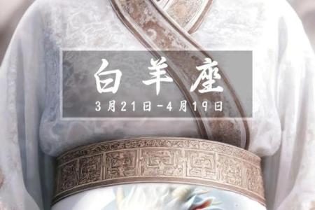 12星座专属龙坐骑(12星座专属的坐骑)