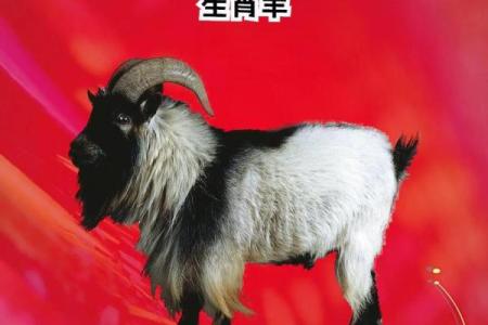 民间说法羊女克夫最严重的属相是哪些？如何化解婚姻不顺？