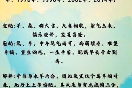 2002年出生的属马人姻缘在哪一年最旺盛