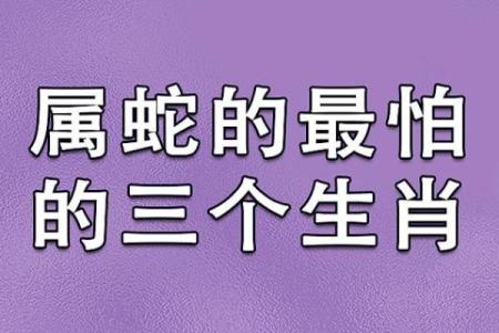 男猪女蛇相差6岁结婚真的会相克吗？如何化解生肖不合的问题