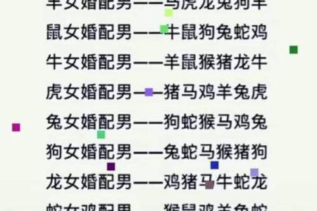 狗和蛇的属相婚配是否合适？解析生肖配对禁忌与建议