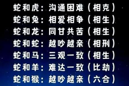 男猪女鼠生肖配对婚姻是否幸福长久需要注意哪些问题