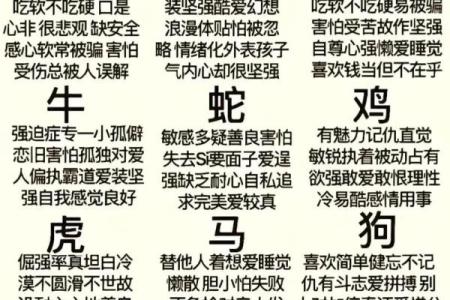 2026年属什么生肖是什么命 2026年属什么生肖是什么命什么木