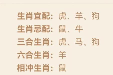 从生肖配对角度分析：属马和属鸡的人在事业合作上能否互补共赢