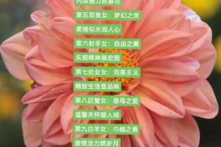 星座中的四大美女 十二星座四大美女有哪些星座