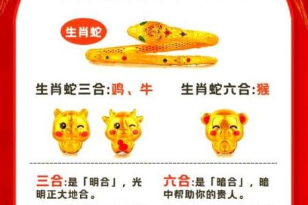 从生肖性格角度分析：属狗和属蛇的人相处会有冲突吗？