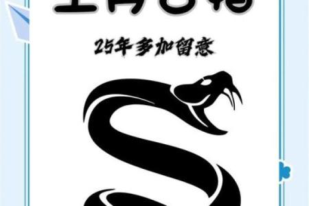 从生肖配对角度分析，属蛇的最佳婚配属相是哪一个？