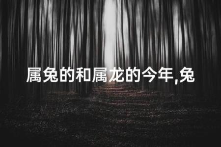 龙兔结婚真的会相克吗？对属龙和属兔的人各自有什么影响和化解方法？