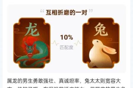 从生肖命理看男狗女龙婚姻：传统相冲之说与现代婚恋观的结合