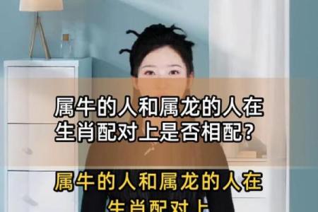 从生肖配对角度分析，属牛的人和什么属相结合最旺财运？