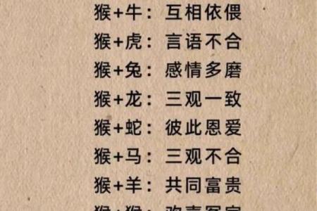 属鼠人的最佳婚配生肖是哪些以及具体配对优势解析