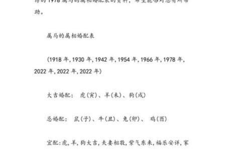 2002年属马的人最佳婚配属相是什么属相