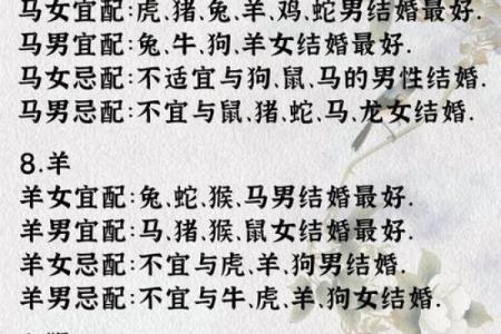 1990年属马的人最适合与哪些生肖属相结婚配对