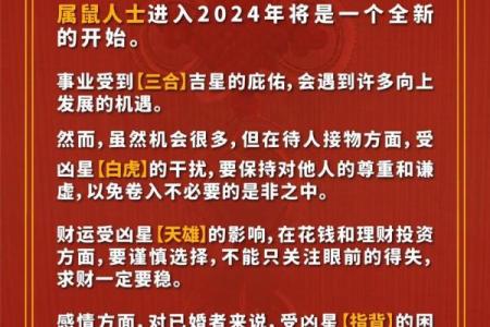 1960年属鼠人2025年全年运势详解及每月运程完整版