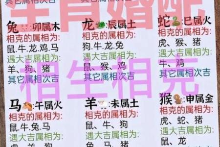 鼠男和虎女婚配是否合适？解析生肖配对中的性格冲突与调和之道