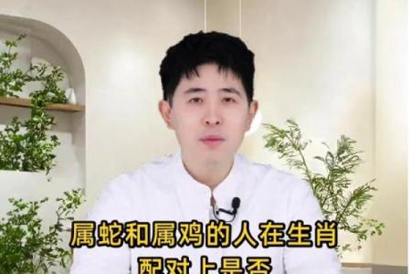 属鸡女和属蛇男婚姻配对是否合适？解析性格优缺点与长久相处之道