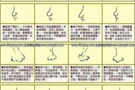 看女相算命图解,面相算命图解大全五官