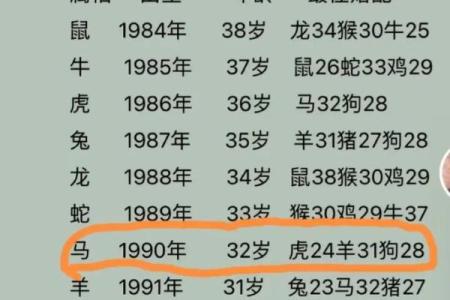 90年属马一生有几次婚姻？揭秘生肖马的情感走向与最佳婚配属相