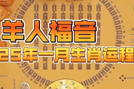 属羊人和哪个生肖在一起财运最好事业顺利