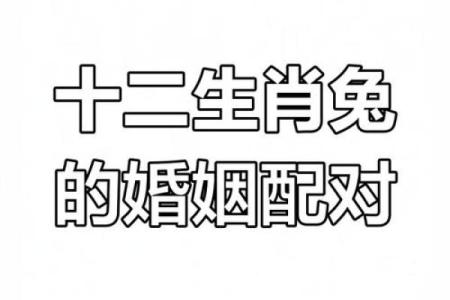 兔和鼠的属相婚配是否合适？解析两者婚姻配对宜忌