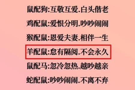 属鼠的人与哪些生肖婚配能够获得最幸福的婚姻生活