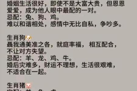 2002年出生的属马人最佳婚配属相是哪些