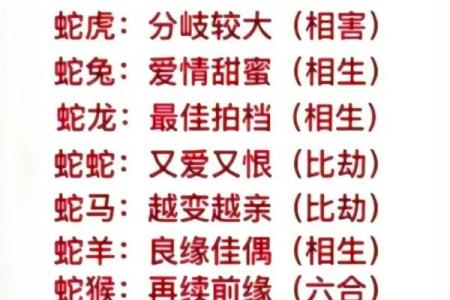 1965年出生的蛇生肖寻找最佳婚配属相指南