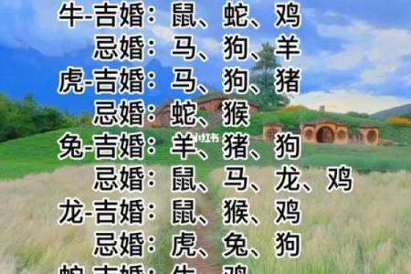 1982属什么生肖的最佳配偶 1982年属什么生肖的最佳配偶