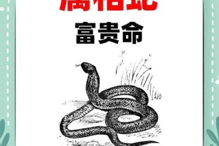 属蛇的人今日运势-360星座网(属蛇今日运势每日更新)