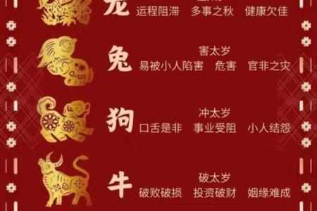 马犯太岁 马犯太岁2024年怎么化解