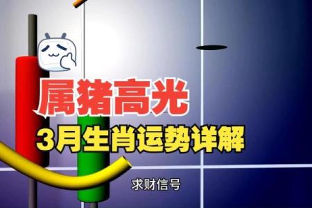 属猪的几月犯月 属猪的几月犯月份