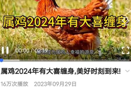 属鸡几月份出生的命运好 属鸡的几月出生的最好