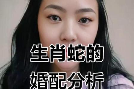 属蛇女性格特点解析与最佳配偶选择标准指南