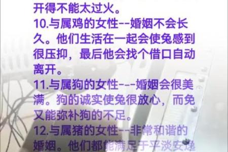 从生肖角度分析1999年兔与2000年龙婚配的优缺点