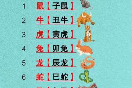 虎和蛇属相婚配真的合适吗？解析传统生肖婚配的现代意义