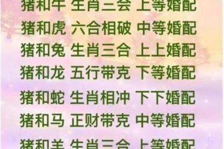 属猪和属兔的婚姻配对指数高吗？性格合不合？