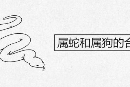属蛇和属狗的婚姻配对如何？性格合不合？
