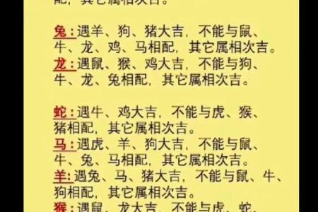 听说龙马婚配是大忌，想了解具体原因及如何化解婚姻中的不合