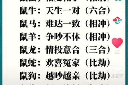 属牛的和什么属相最配婚姻才会幸福长久